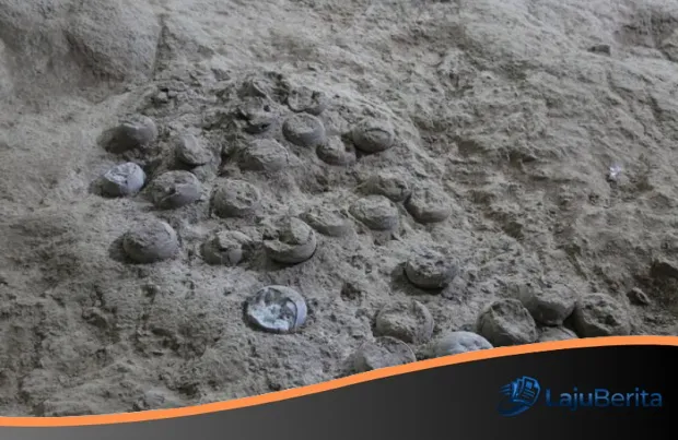 Inovasi Teknologi Nano China: Perisai Canggih Pelindung Fosil Telur Dinosaurus dari Ancaman Pelapukan