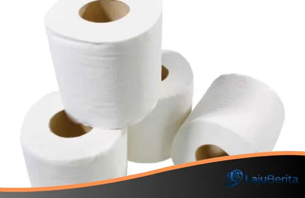 Tragedi Molka di Korea Selatan: Ketika Tisu Toilet Umum Berubah Menjadi Teror Fisik Bagi Wanita