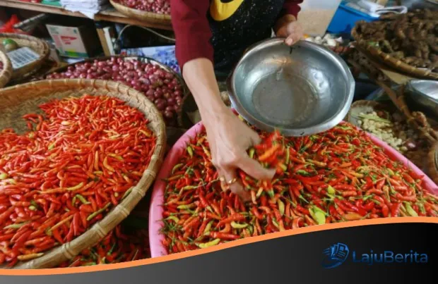 Update Harga Pangan Nasional: Cabai Rawit Merah Tembus Rp63.700, Telur Ayam Capai Rp31.400 Per Kilogram