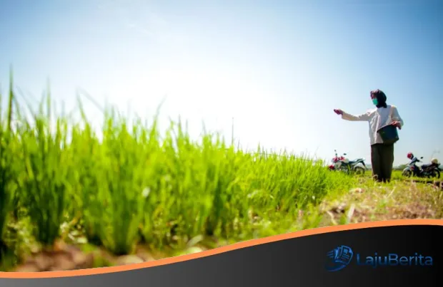 Strategi Menjaga Stabilitas Ekonomi 2026: Mengapa Konsistensi Produksi Pangan Adalah Kunci Utama?