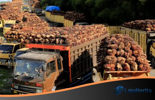 Inovasi atau Mati: Strategi Agresif Industri Sawit Indonesia Memacu Produktivitas dan Regenerasi SDM
