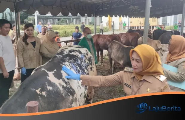 Pastikan Kualitas dan Keamanan, Pemkot Jakbar Siapkan 55 Hewan Kurban Unggulan untuk Masyarakat