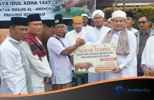 Berkah Idul Adha: Presiden Prabowo Salurkan 11 Sapi Kurban Terbaik untuk Masyarakat Bengkulu