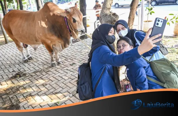 Esensi Idul Adha di Mata Menag Nasaruddin Umar: Dari Ritual Ibadah Menuju Gerakan Berbagi Nutrisi Nasional