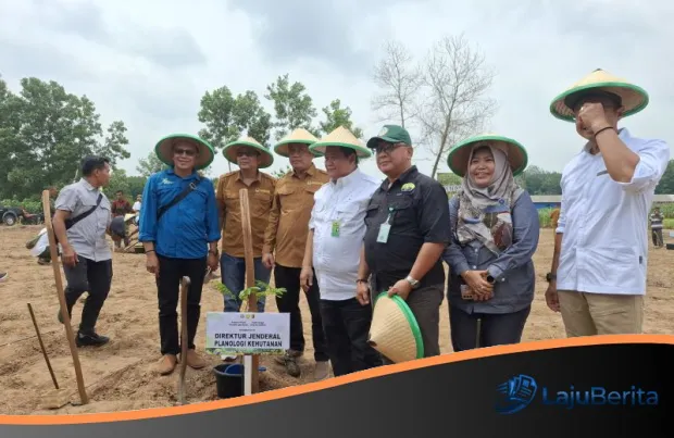 Usut Aliran Dana Tambang, KPK Panggil Dirjen Kemenhut dan Pejabat Tinggi ESDM Terkait Kasus Rita Widyasari