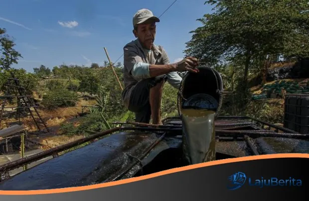 Mengintip Kebangkitan Sumur Minyak Rakyat: Produksi Tembus 1.500 Barel, Mimpi Besar Menuju 20 Ribu BOPD