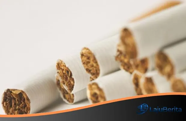 Industri Rokok di Ujung Tanduk? Wacana Kemasan Polos Bayangi Nasib Jutaan Buruh dan Petani