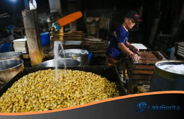 Lawan Badai Dolar: Strategi Subsidi Kedelai Pemerintah di Tengah Gejolak Ekonomi Global