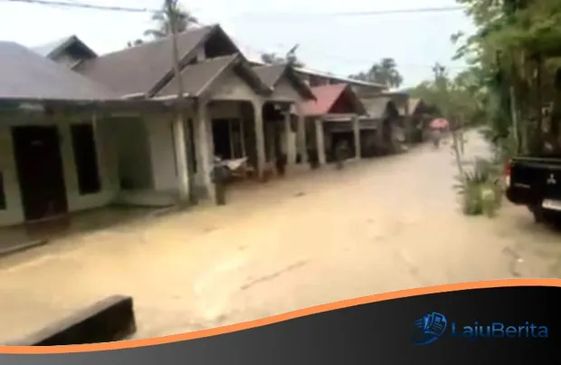 Aceh Barat Siaga Merah: Luapan Krueng Meureubo Mulai Rendam Pemukiman Warga di Pante Ceureumen