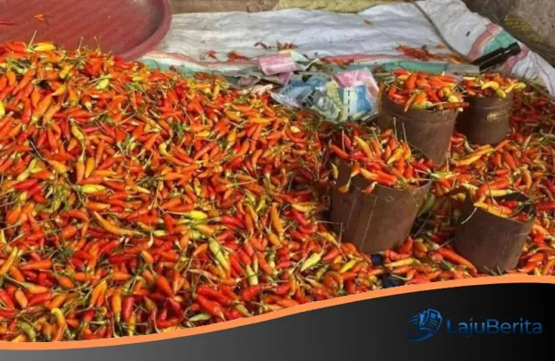 Badai Harga Pangan 2026: Cabai Rawit Tembus Rp100 Ribu per Kilogram, Beban Dapur Kian Menjerit