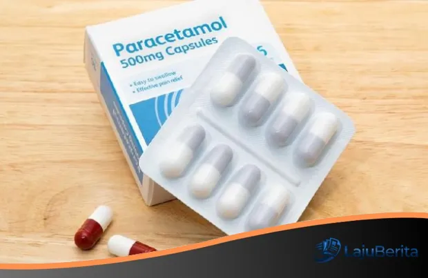 Bukan Subur Malah Berbahaya: Mengapa Paracetamol pada Tanaman Cabai Menjadi Ancaman Serius bagi Kesehatan dan Lingkungan