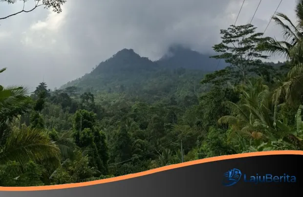 Transformasi Tata Kelola Hutan Indonesia: Kemenhut Pertajam Konsep Multiusaha Melalui Revisi Regulasi P.8