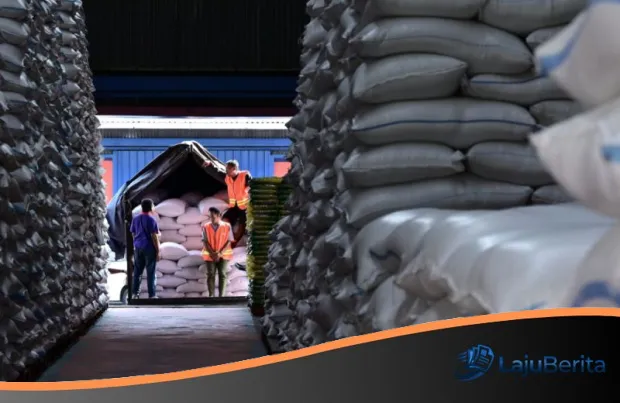 Dominasi Global: Indonesia Sabet Predikat Produsen Beras Terbesar Ke-4 Dunia, Swasembada Bukan Lagi Mimpi