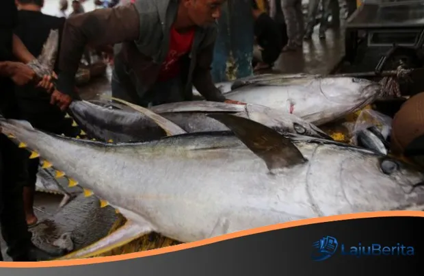 Ekspansi Ekonomi Biru: Indonesia Siap Pasok Tenaga Kerja Perikanan Terampil ke Jepang